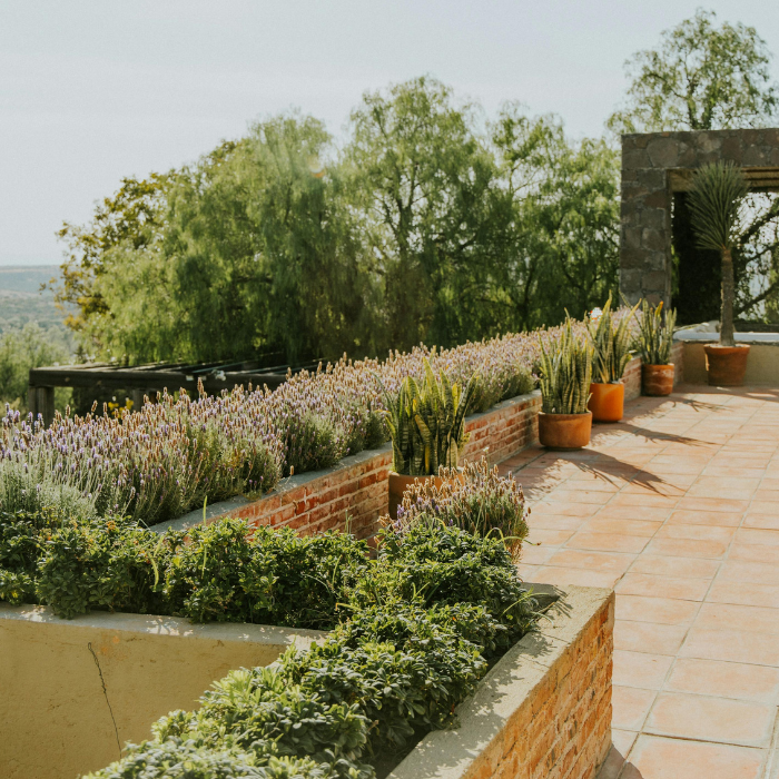 Terrasse carrelée avec vue
